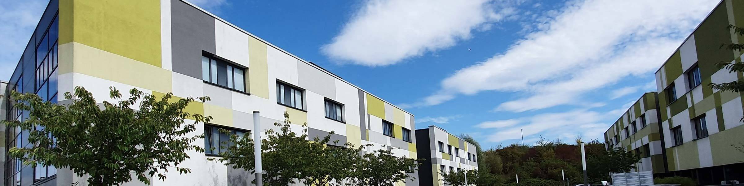 Gestion patrimoine Metz AP CONSEIL