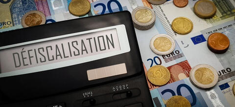 Réduisez votre impôt sur le revenu en 2024!