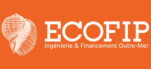 Réduction d'impôt - Loi Girardin Industrielle